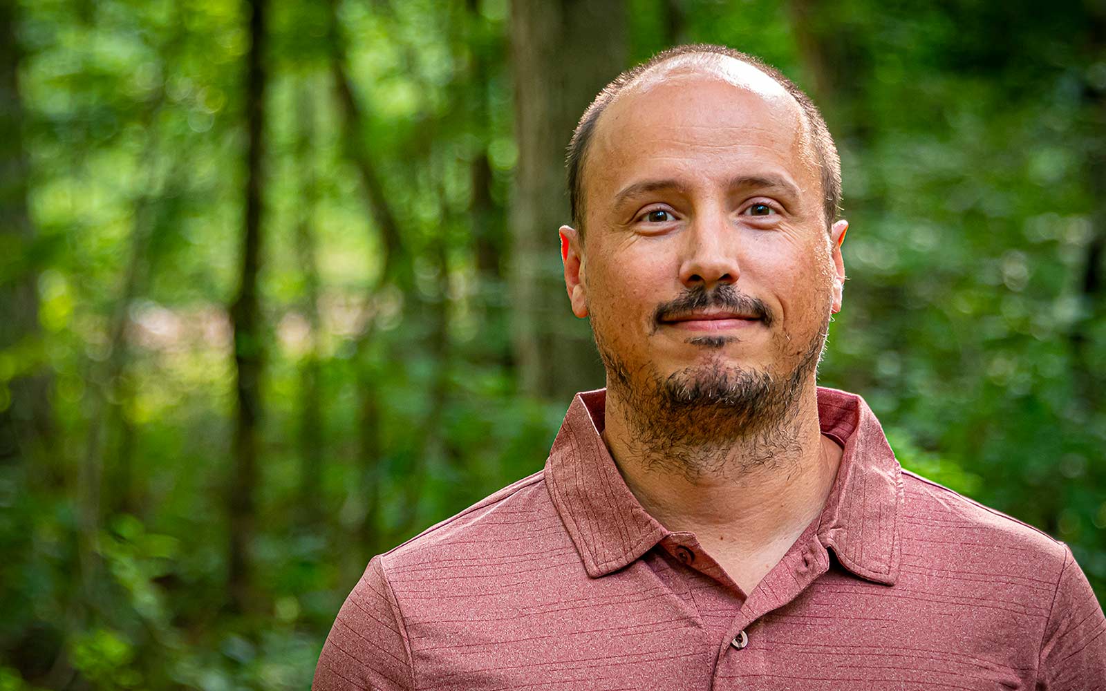 MSU Creates Precision Tool To Improve Forest Management Mississippi MSU Creates Precision Tool To Improve Forest Management Mississippi