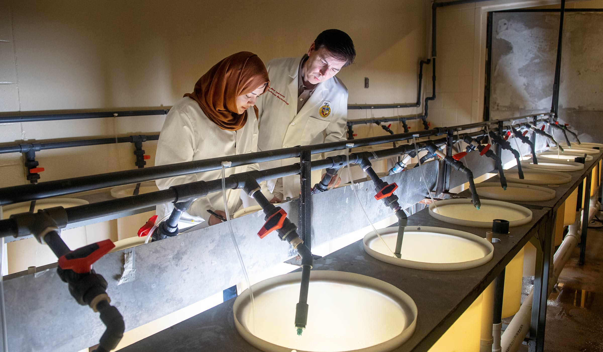 Female PhD student wearing brown hijab and lab coat alongside a male in lab coat observing fish in white holding containers