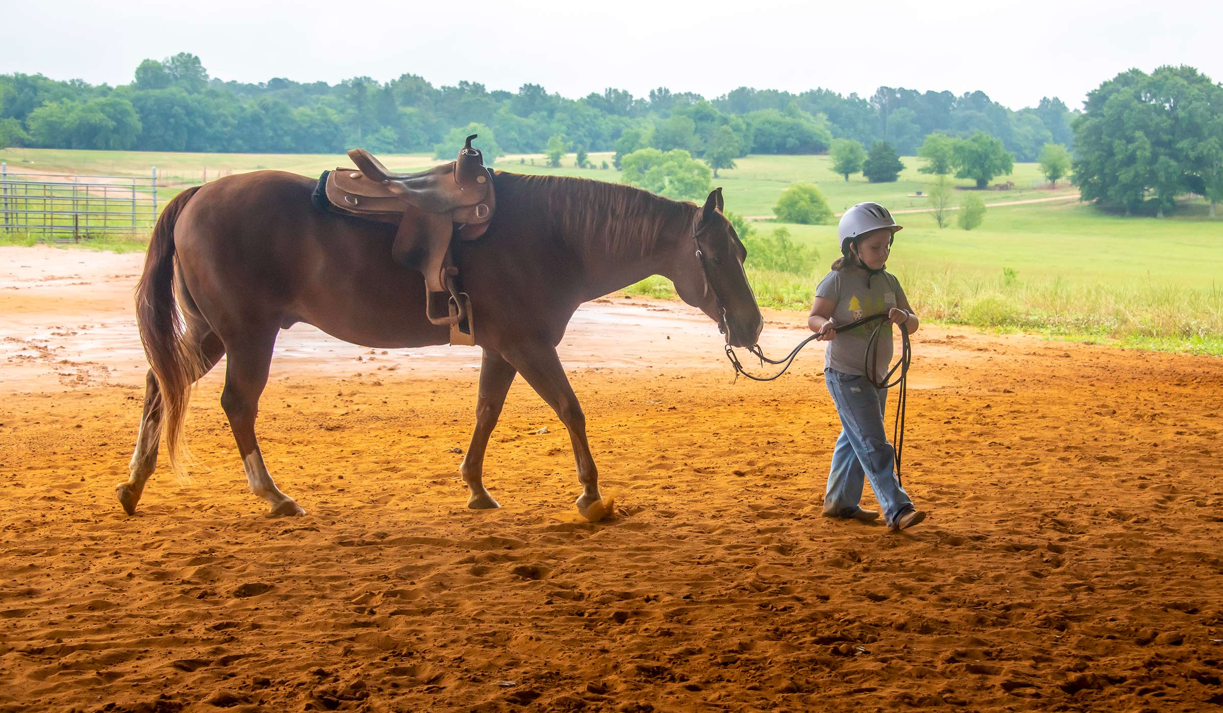 Child leading horse on red dirt