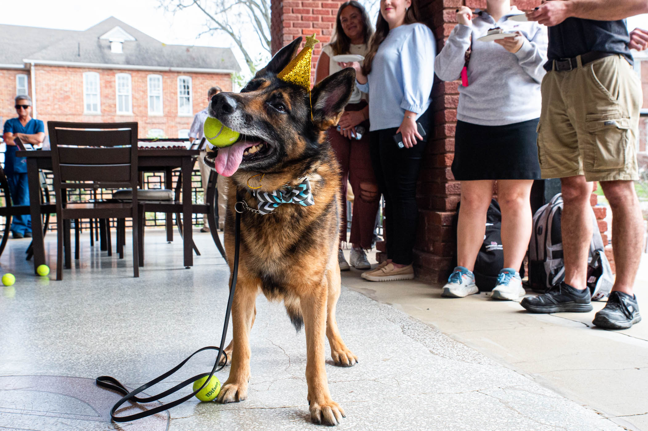 Mississippi State University Police K9 &quot;Miguel&quot; celebrates his 11th birthday alongside family and friends on the patio of MSU&#039;s YMCA building. 