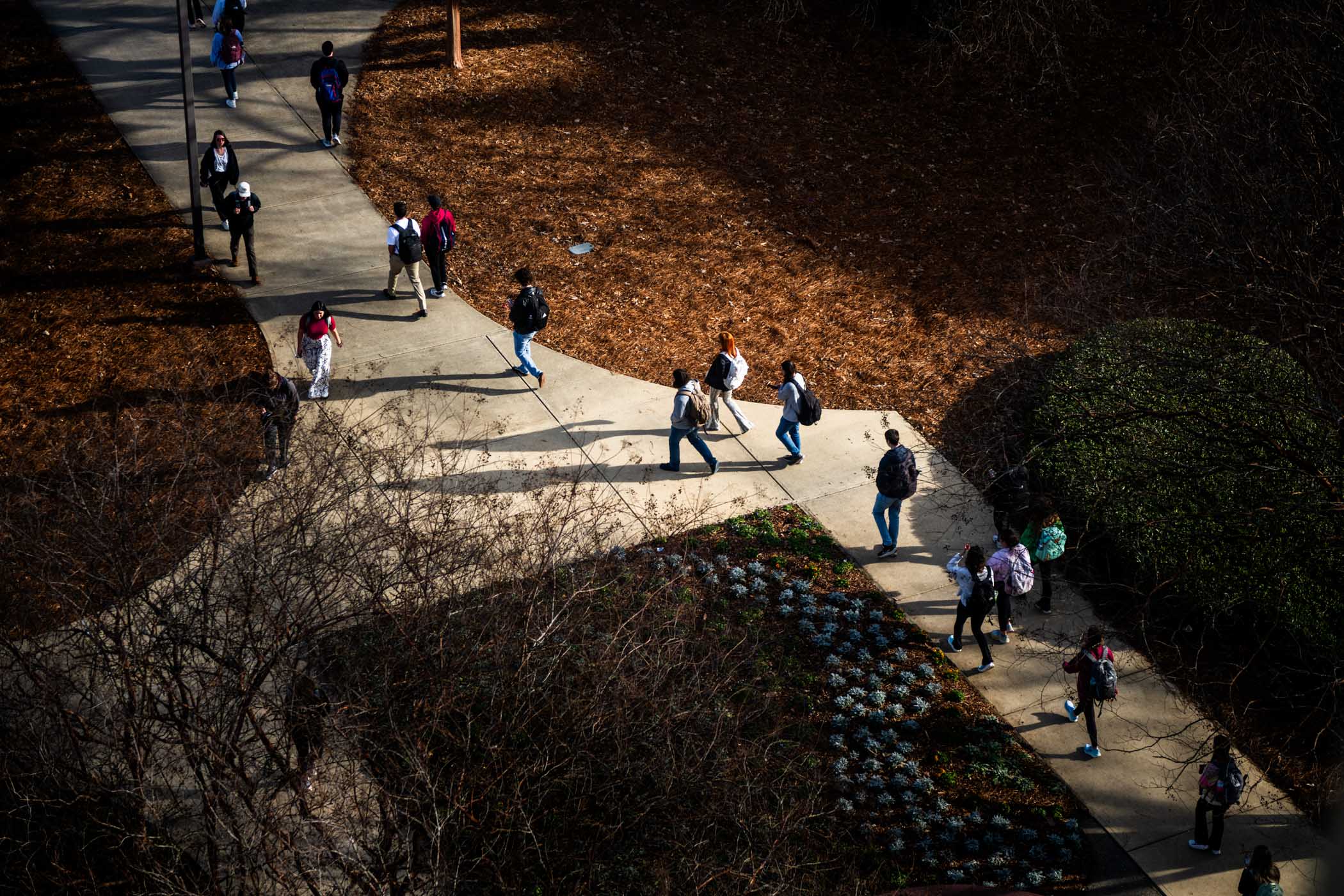 A high vantage point atop Allen Hall captures Mississippi State students transitioning between classes near the building&#039;s front flowerbed Friday [Feb. 16].