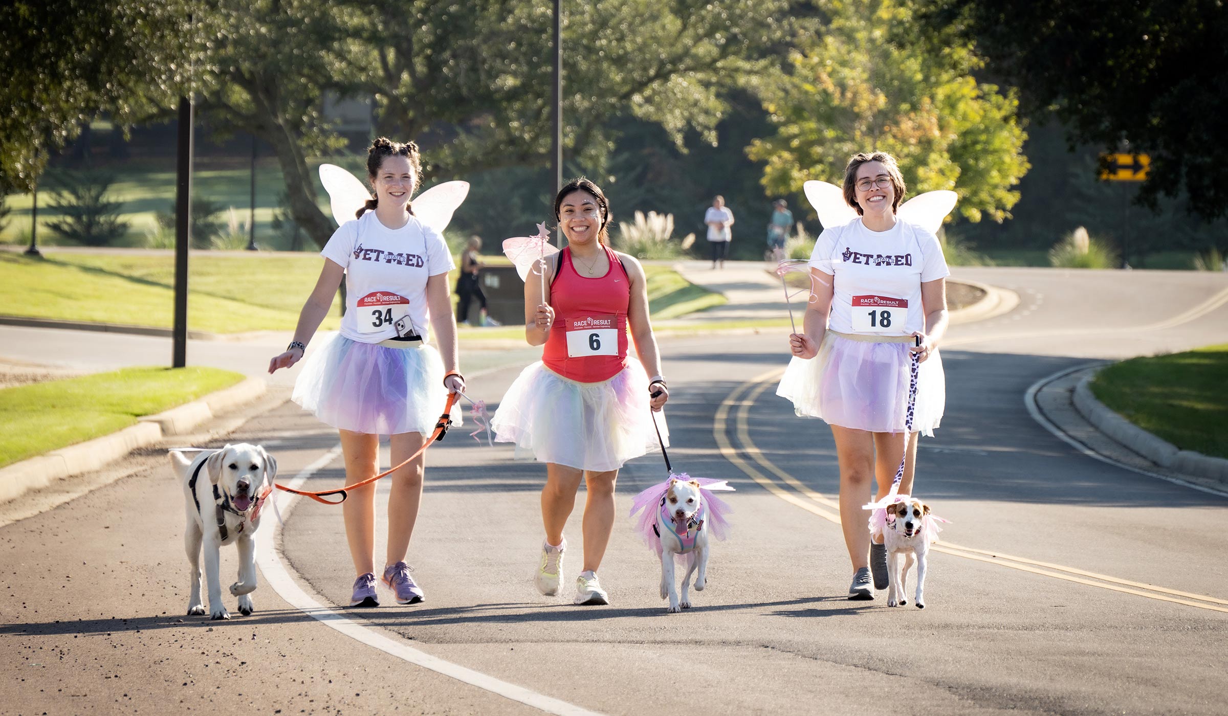 Three women in winged costumes jogging with dogs