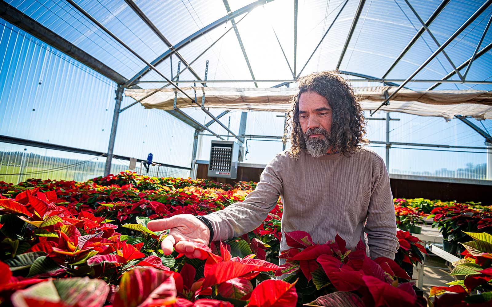 Clay Cheroni with flowers in a greenhouse