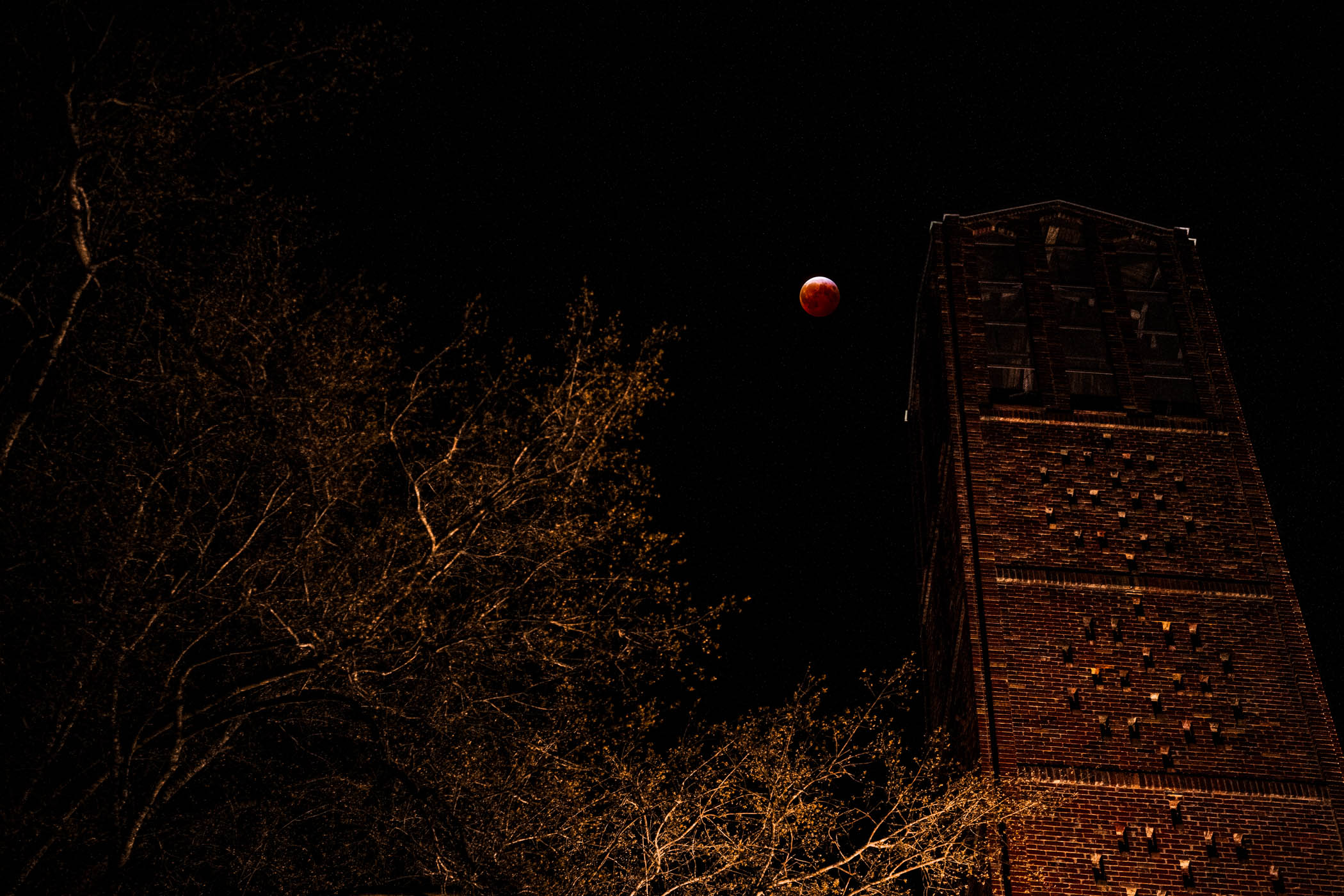 A deep scarlet lunar eclipse reaches totality over MSU&#039;s Chapel of Memories in the early hours of Friday morning [March 14.] As sunlight is refracted through Earth&#039;s atmosphere, it blankets the moon in a striking red glow. This rare celestial event is one of four eclipses this year, with a partial solar eclipse on March 29 next on the horizon.