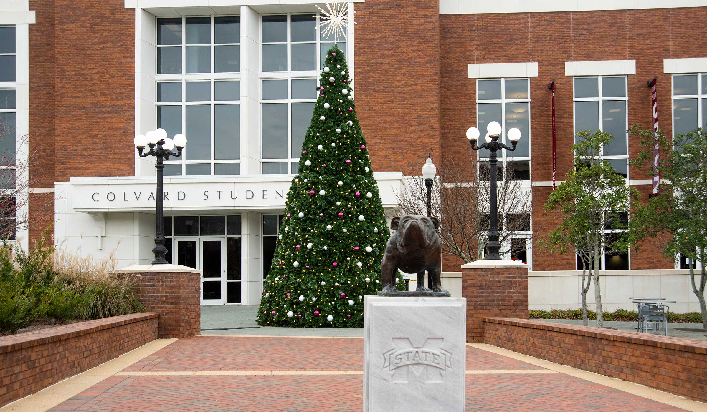 Giant Christmas tree behind bulldog statue