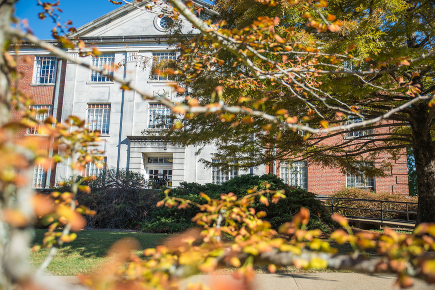 Branching into Fall Mississippi State University