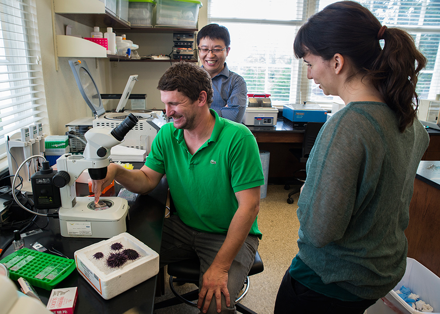 Sea Urchin Research Lab