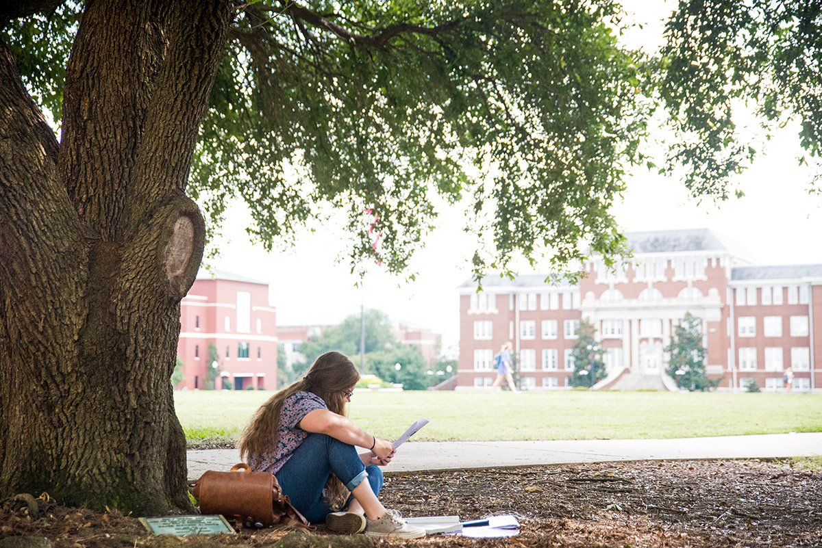 Student studying under a tree