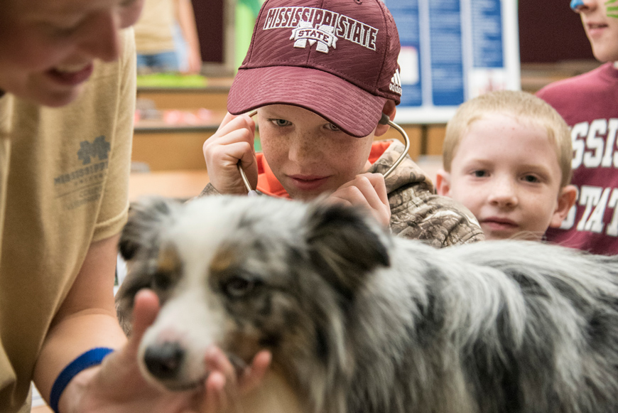 Jurassic Bark Open House at MSU College of Veterinary Medicine (CVM)