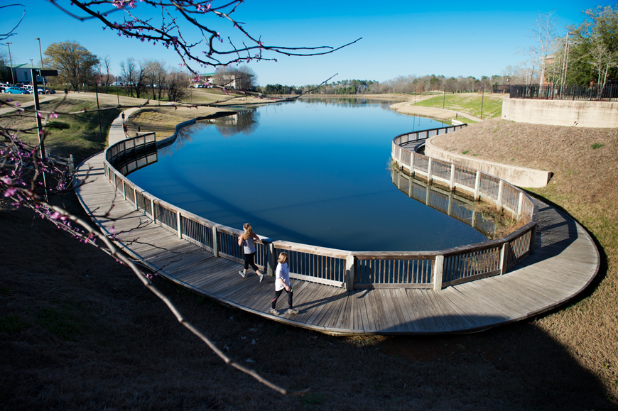 Chadwick Lake Walking and Jogging Trail looking down over boardwalk