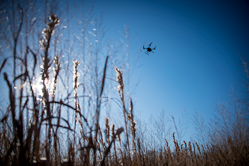 A UAV is pictured above a plot of native grass at the W.B. Andrews Agricultural Systems Research Farm, located east of MSU’s Starkville campus. 