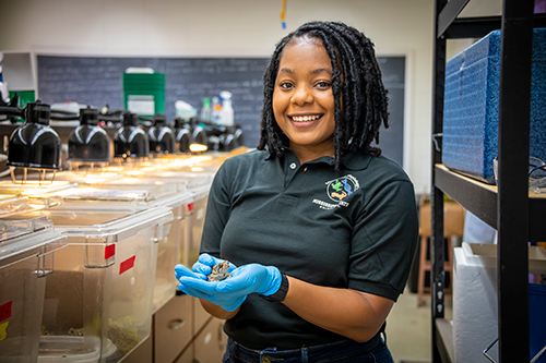 Namia Stevenson is a master’s student in MSU’s Conservation Physiology Lab. 