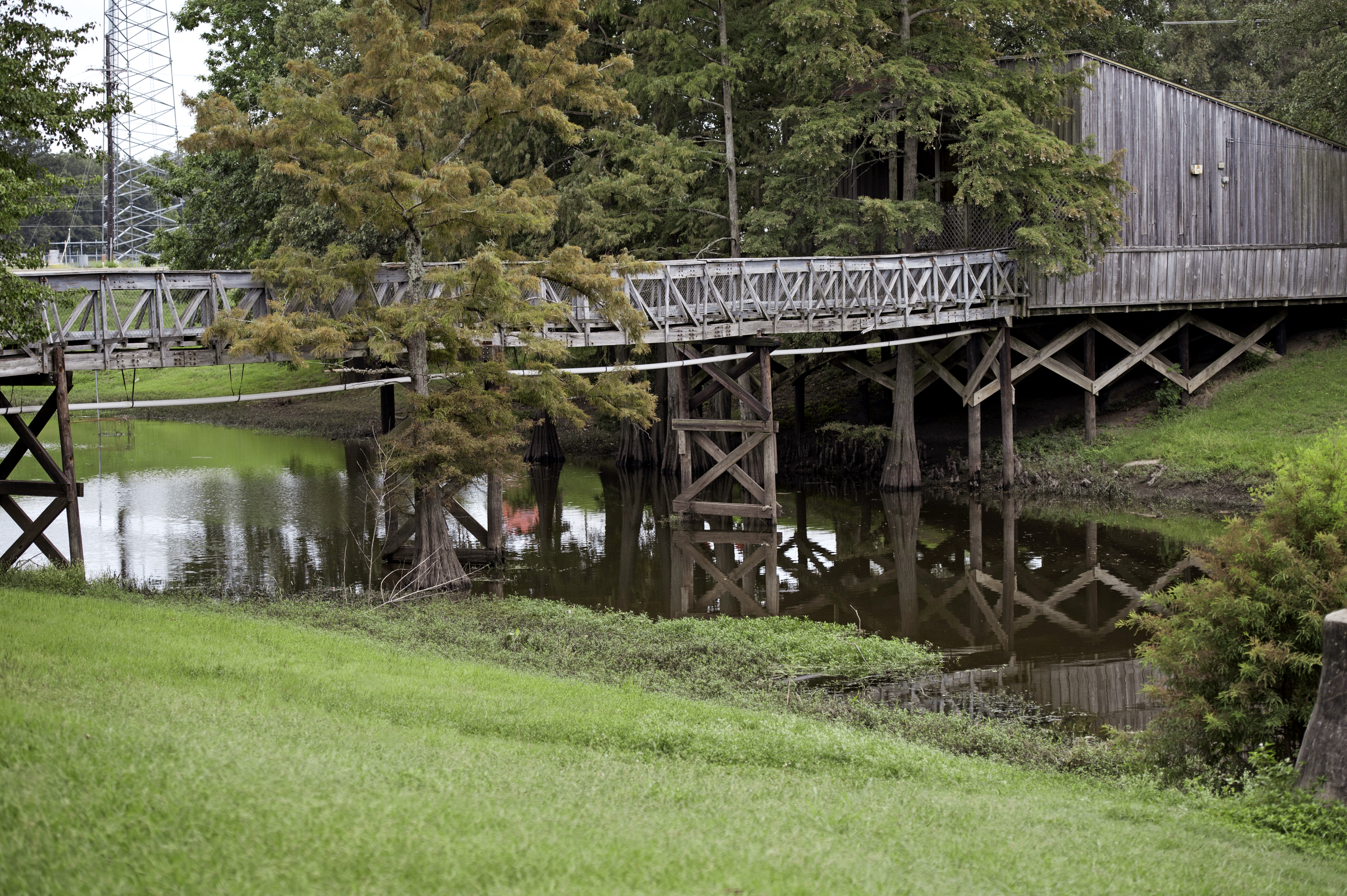 <br /><br />
Mississippi State University officials recently received a community service award from the Leland Chamber of Commerce. Among other projects, students and staff developed park plans for Deer Creek, which runs through the center of Leland.