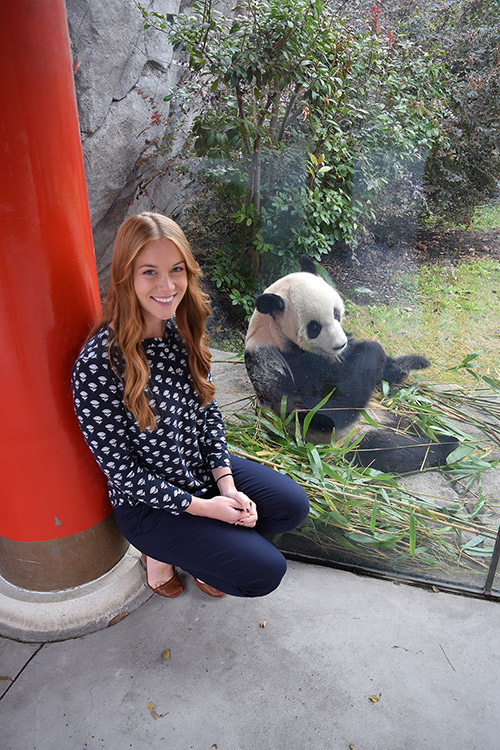 Abbey Wilson, a postdoctoral associate at Mississippi State, is pictured with a giant panda at the Memphis Zoo. (Photo submitted)