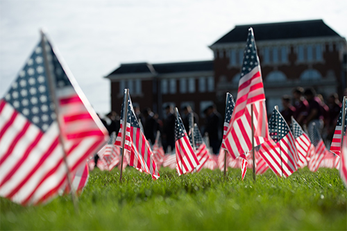 Flags on MSU's Drill Field in honor of U.S. veterans