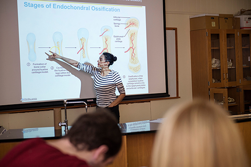 Mississippi State anthropology Professor Molly Zuckerman lectures in front of a PowerPoint presentation.