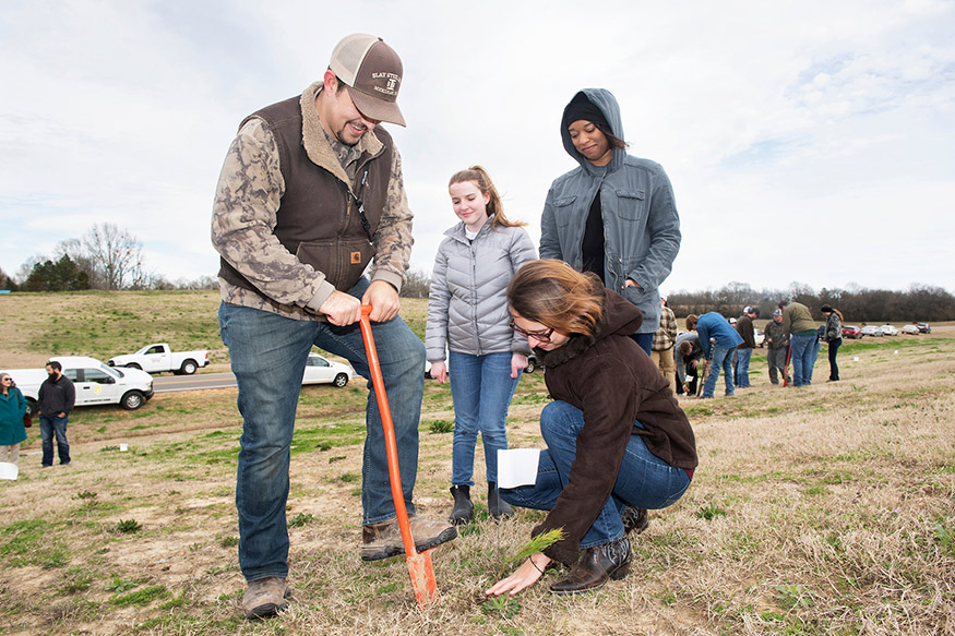 MSU students celebrate Arbor Day with tree planting Mississippi State