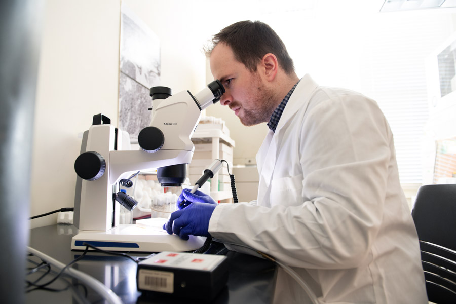 Portrait of Matt Ballinger looking in a microscope