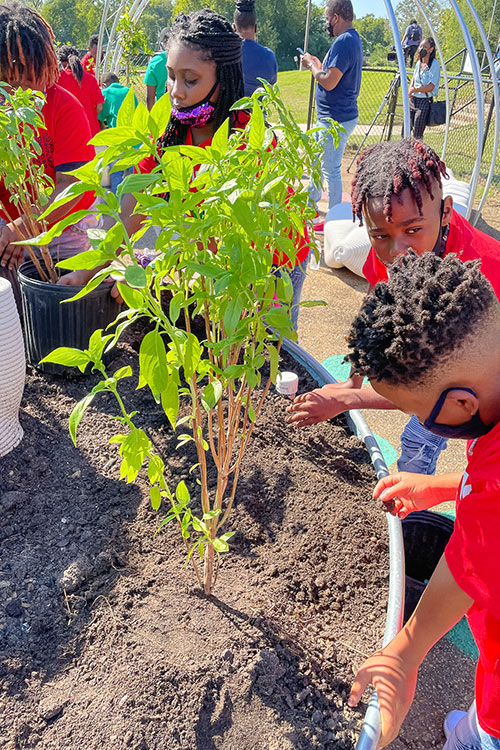 Children explore the Galloway Elementary learning garden