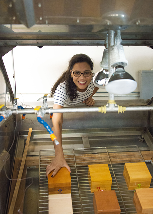 MSU doctoral student Garbrielly Dos Santos Bobadilha tests CLT coatings against environmental elements including rain, heat and high humidity. 