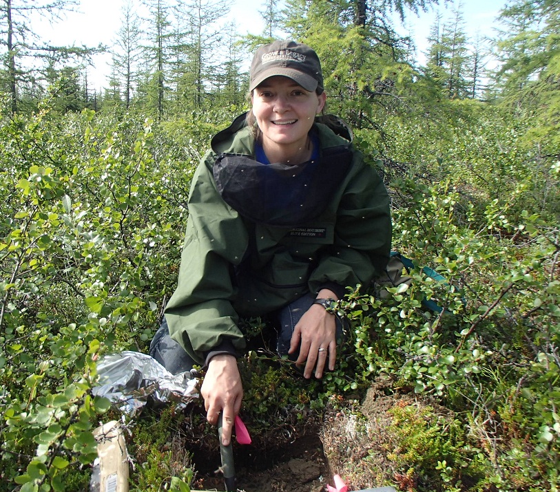 In the same forest, Alexander excavates soils around larch tree roots and shrubs as part of a scientific process to measure carbon amounts stored in their tissues. (Photo by Parker Watson)