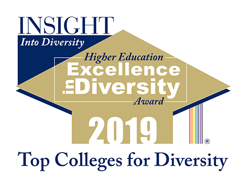 2019 Higher Education Excellence in Diversity Award logo