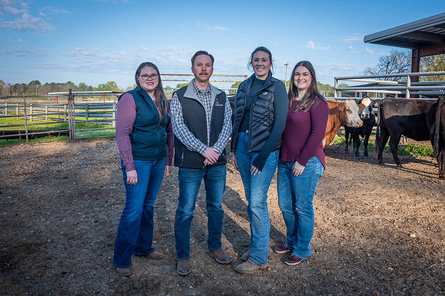 MSU animal science researchers pictured near cows
