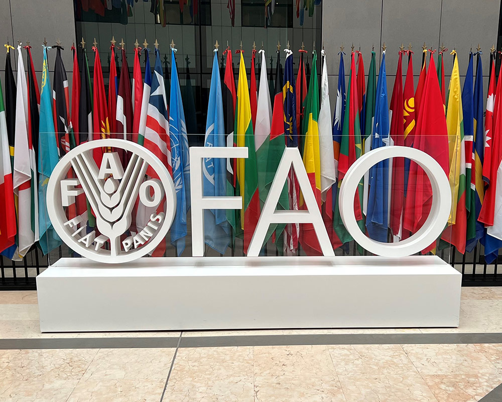 Photo of flags behind the FAO sign in Rome