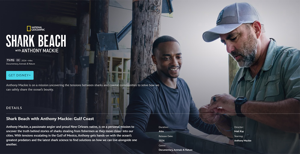 disneyplus.com screenshot for Shark Beach with Anthony Mackie