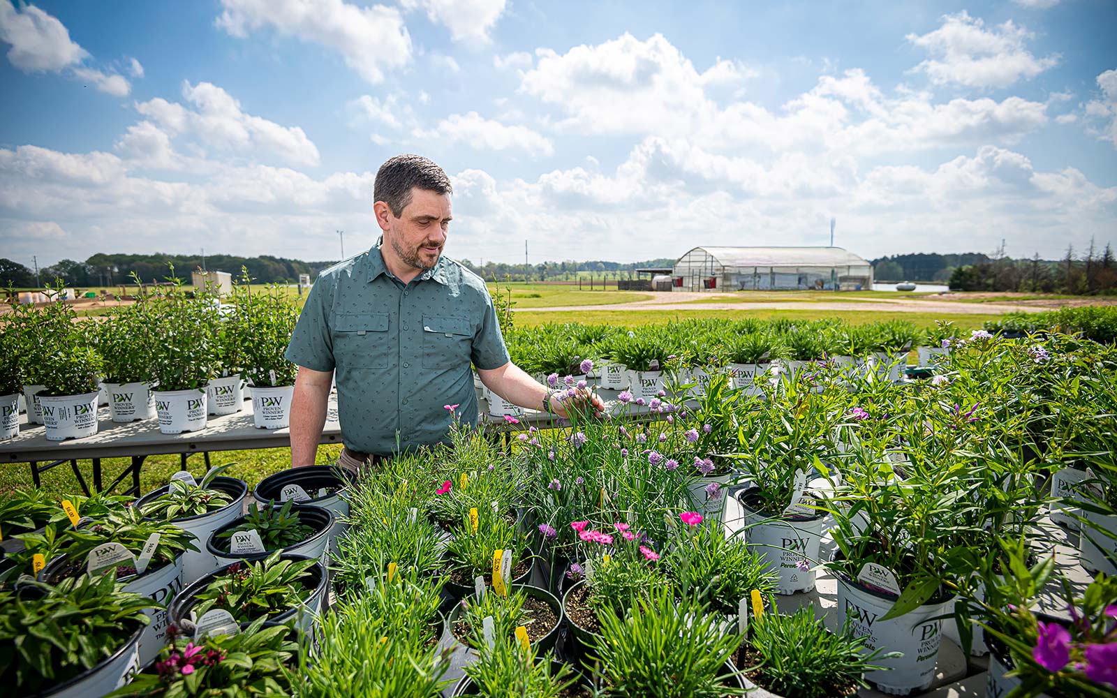 photo of shaun broderick in a bunch of flowers