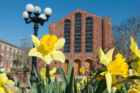 Photo of flowers in front of MSU chapel
