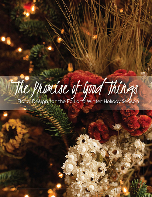 The Promise of Good Things book cover