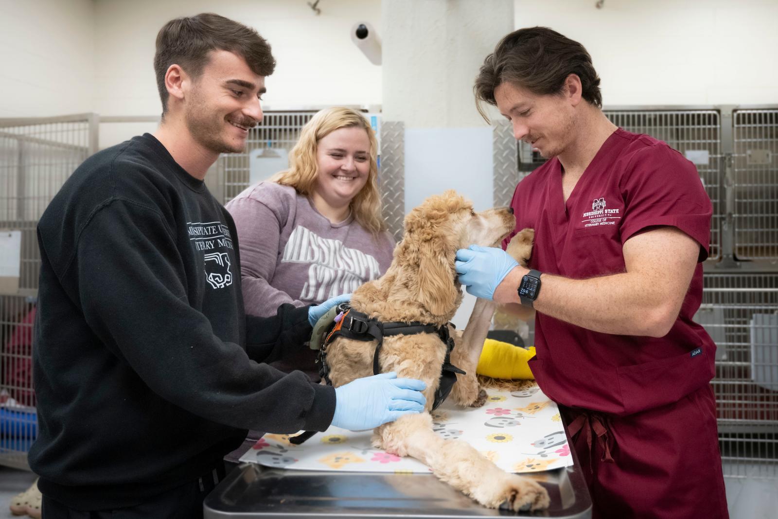 Dr. Weston Beamon comforts Maple after wrapping her leg.