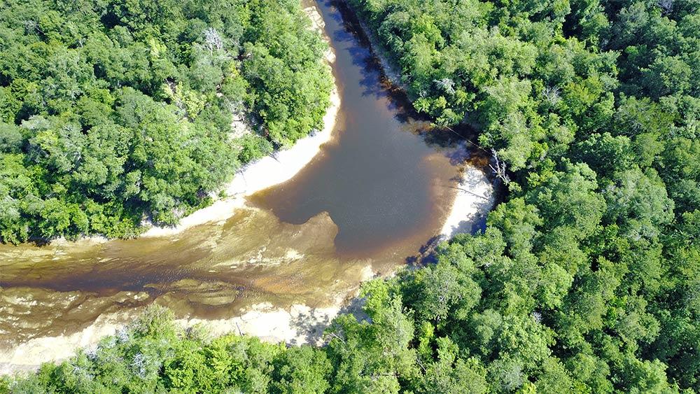 Drone footage of the future site of MSU’s Wolf River Coastal Forest Research and Education Center.