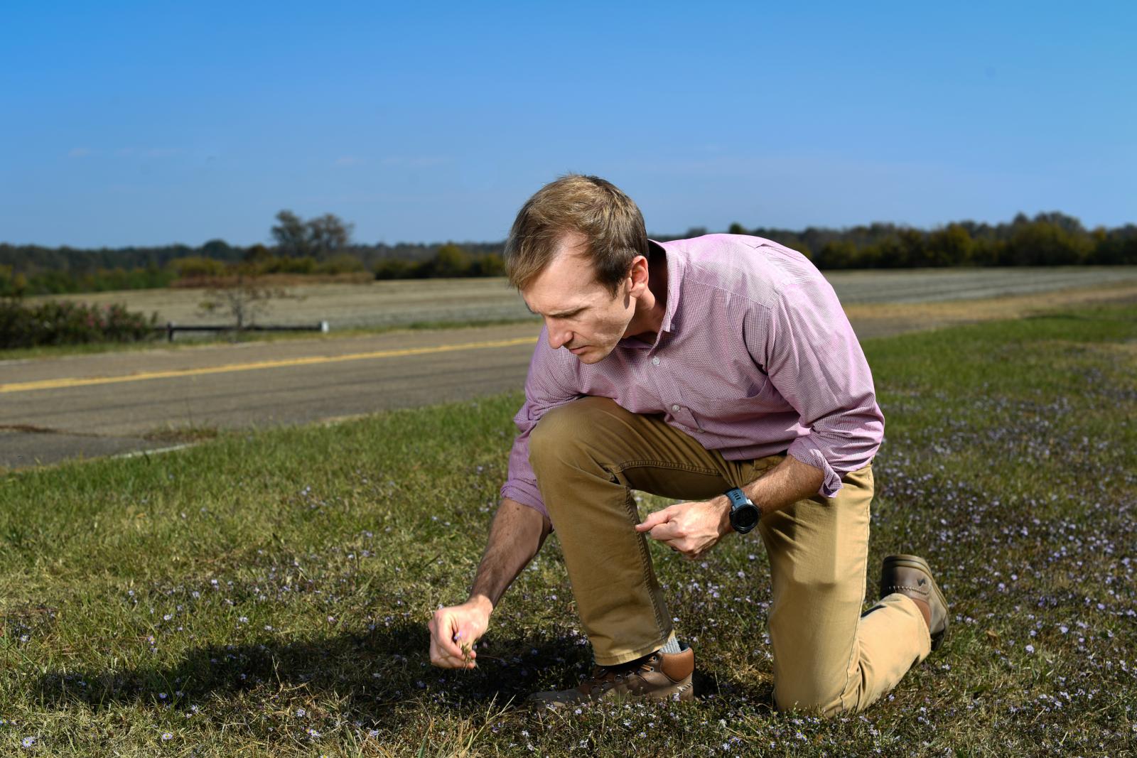 Jay McCurdy examines a refuge lawn at Mississippi State University. (Photo by Grace Cockrell)