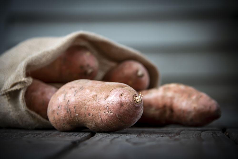 On July 1, Mississippi will have its first official state vegetable, the sweet potato. Mississippi is a top U.S. producer of the storage root, third to only North Carolina and California which are first and second, respectively. (Photo by David Ammon)