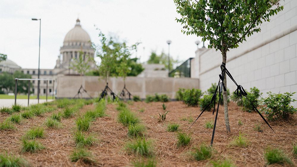 At the Fallen Officers Memorial in Jackson, a new planting design has been created by Mississippi State University’s Department of Landscape and Environmental Design and Ambiance Landscape Design.