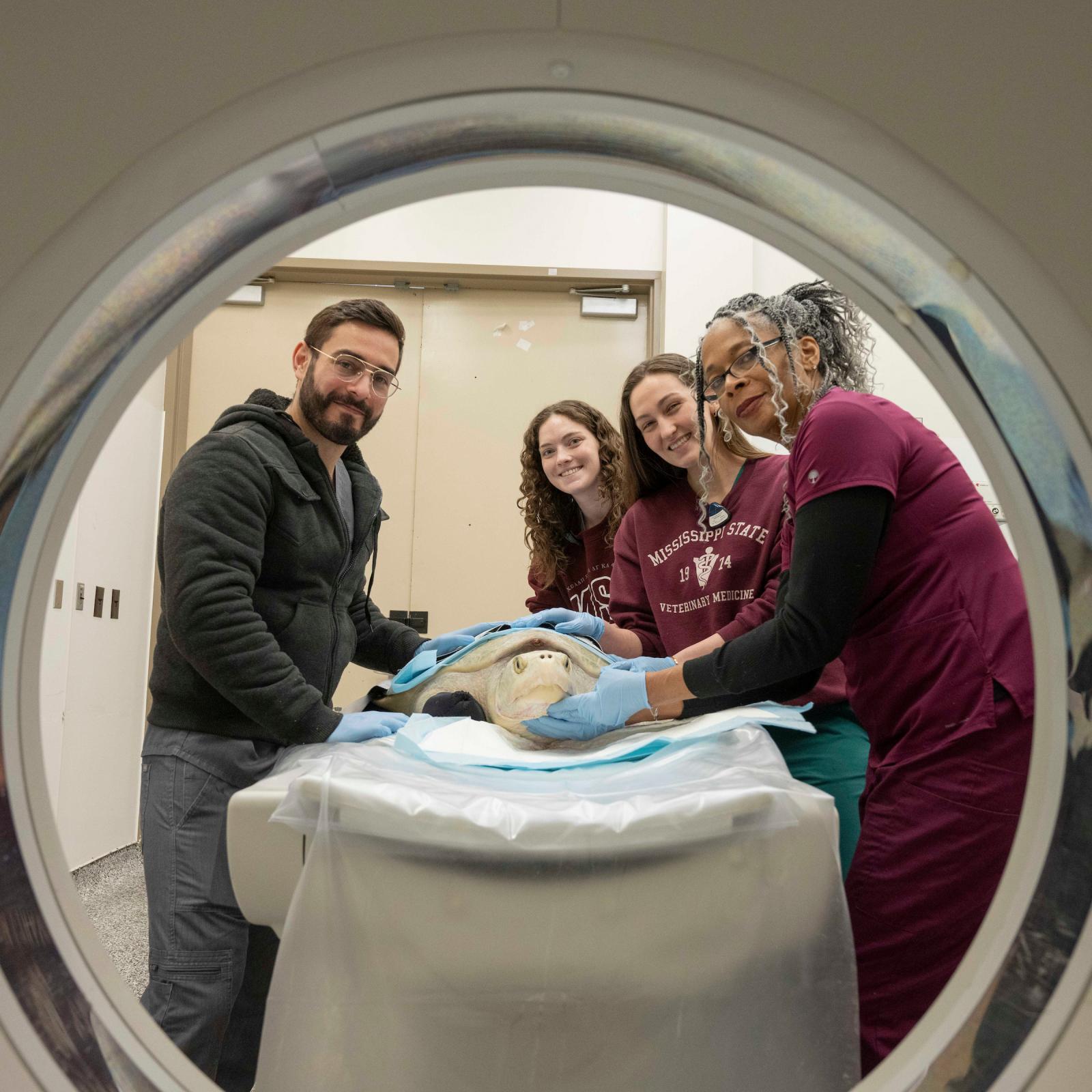 four people help put a turtle in a ct scan