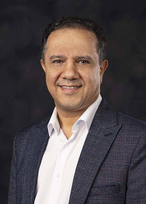A portrait of Saeed Rokooei.